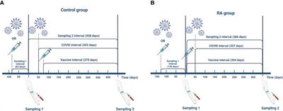 Escalating SARS-CoV-2 specific humoral immune response in rheumatoid arthritis patients and healthy controls